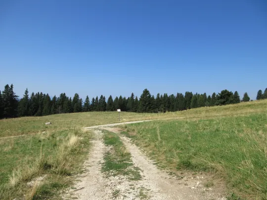 Verso la strada che porta al rifugio, proseguire a destra