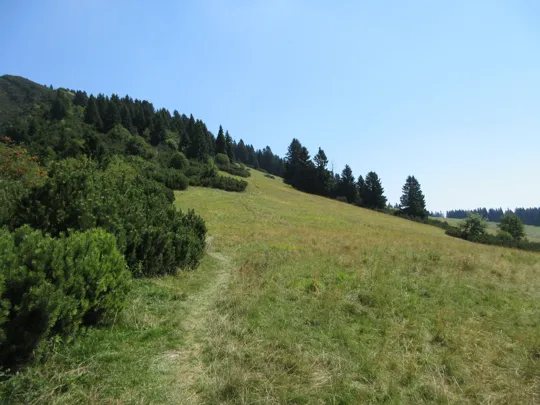 Dettaglio del sentiero