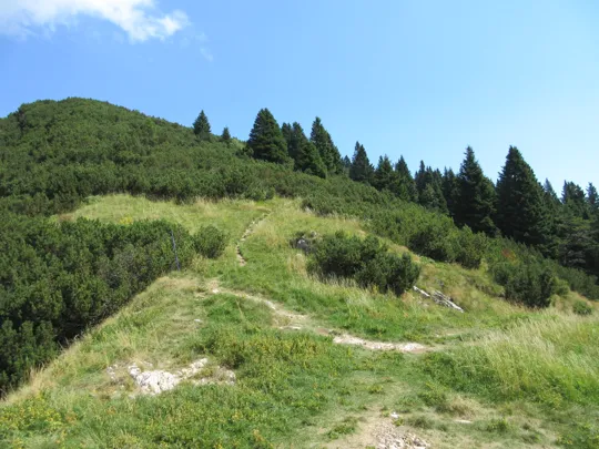 Dettaglio della salita dal punto panoramico