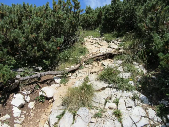 Dettaglio del sentiero