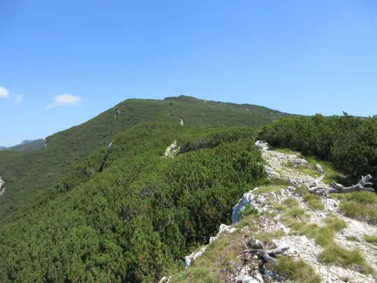 Dettaglio del sentiero