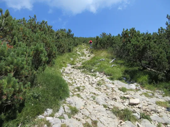 Dettaglio del sentiero