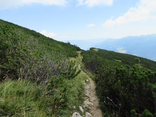 Dettaglio del sentiero