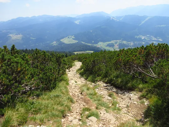 Dettaglio del sentiero