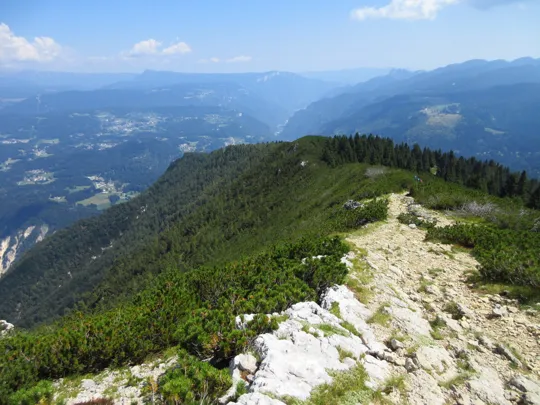 Dettaglio del sentiero