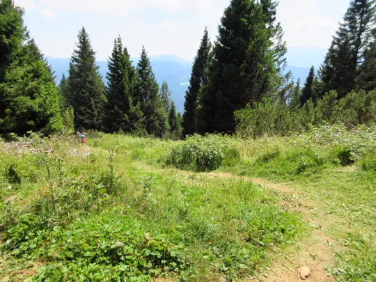 Proseguire a sinistra