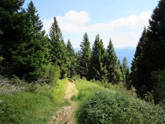 Dettaglio del percorso