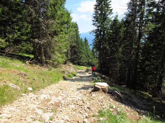 Dettaglio del percorso