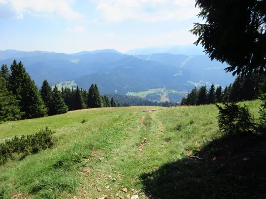 Dettaglio del sentiero