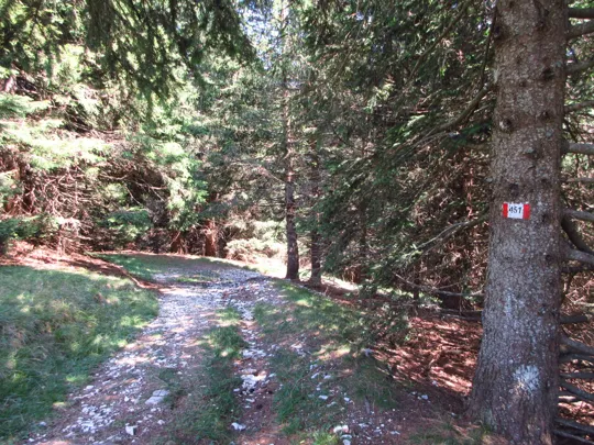 Dettaglio del sentiero