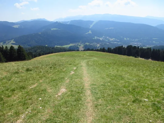 Dettaglio del sentiero