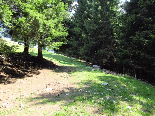 Dettaglio del sentiero