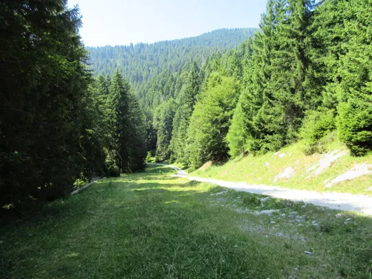 La strada e il sentiero al bordo