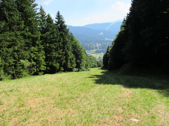 Dettaglio del percorso