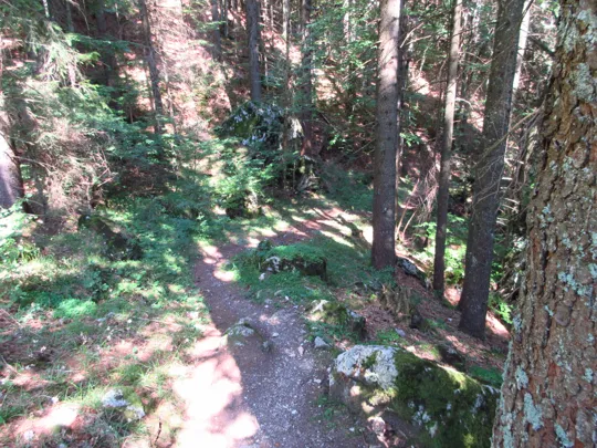 Dettaglio del sentiero