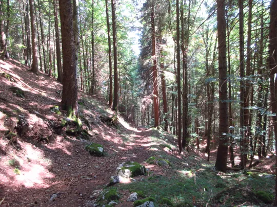 Dettaglio del sentiero