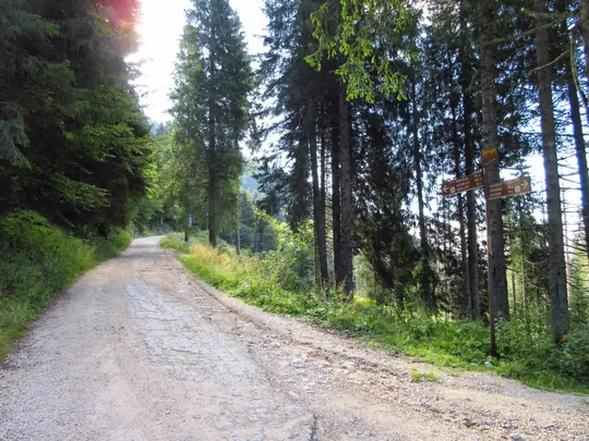 Strada nel bosco con indicazioni della ciclovia