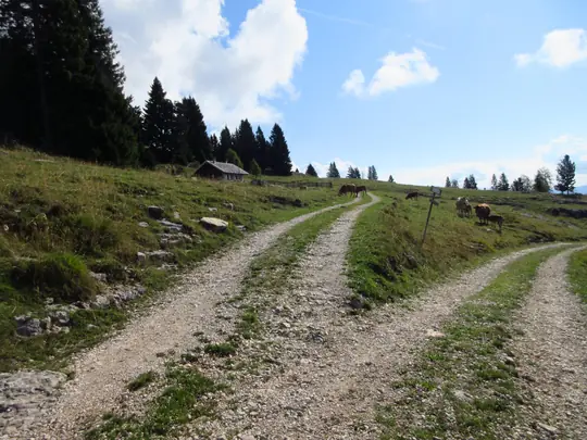 Strada verso Baito Erio, proseguire a sinistra