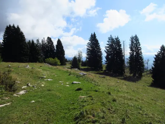 Traccia nel prato sopra Baito Erio