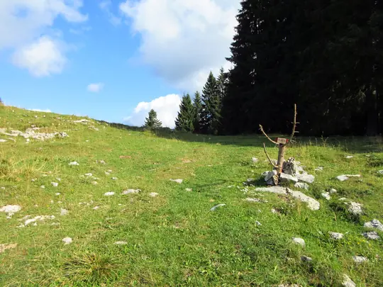 Indicazione per il Monte Erio al margine del bosco