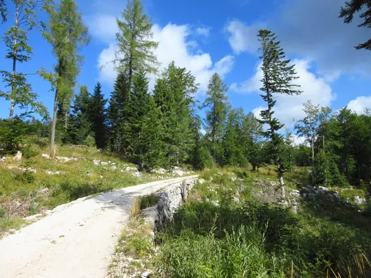 Dettaglio della strada