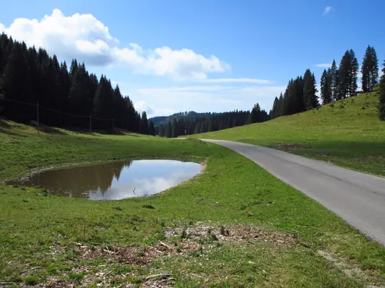 Strada di ritorno