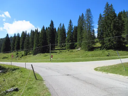 Incrocio verso Malga Campolongo