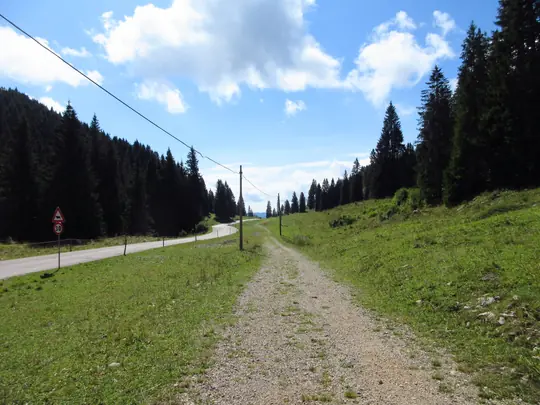 Pista sterrata accanto alla strada