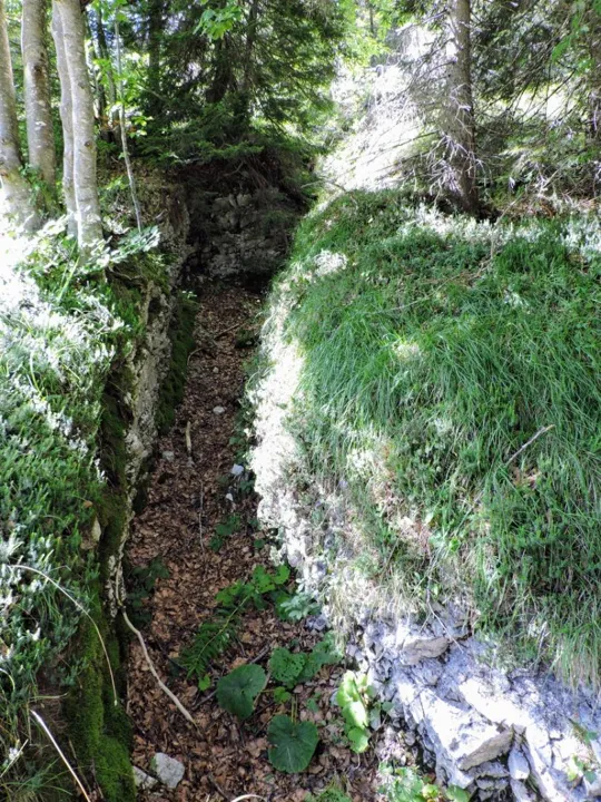 Monte Fiara - Trincea