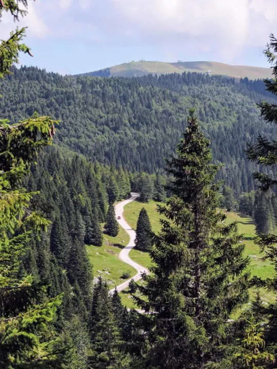 Monte Fiara - Vista verso le Melette