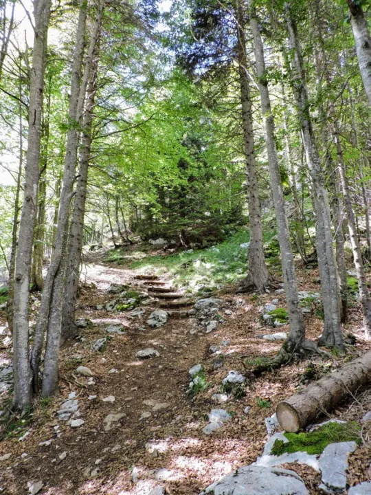 Monte Fiara - Sentiero