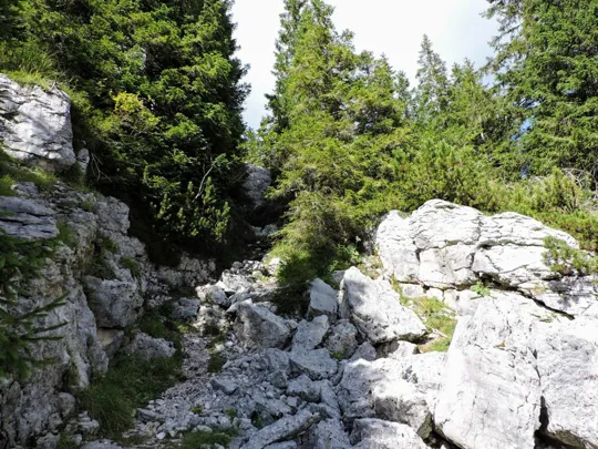 Monte Fiara - verso l'ingresso