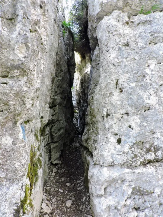 Monte Fiara - Ingresso