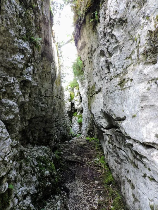 Monte Fiara - Dentro al labirinto