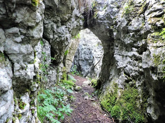 Monte Fiara - Dentro al labirinto
