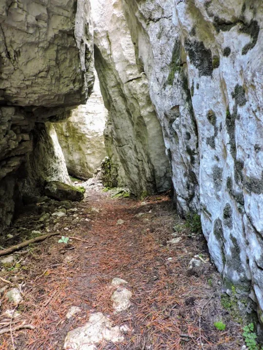 Monte Fiara - Dentro al labirinto