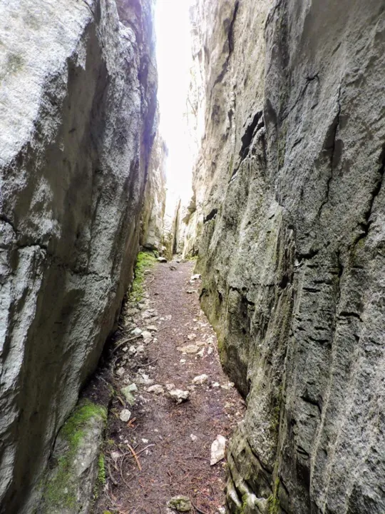 Monte Fiara - Dentro al labirinto