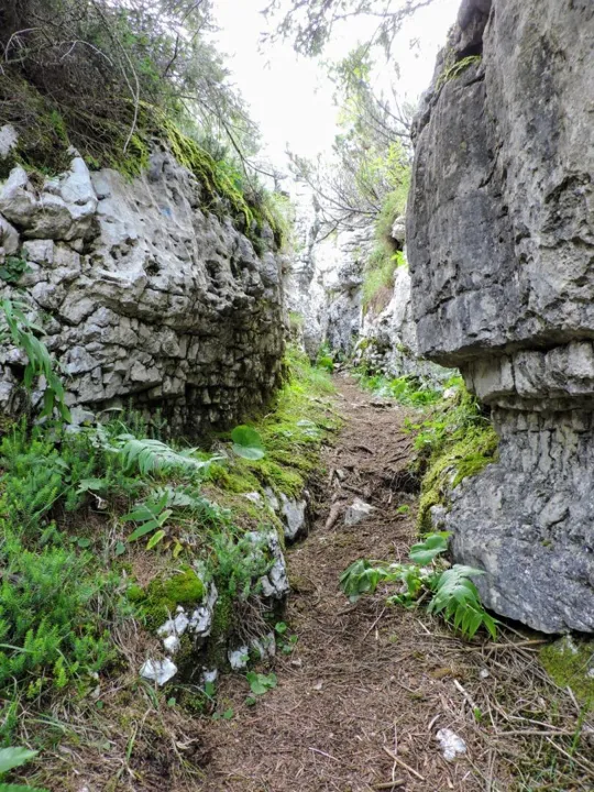 Monte Fiara - Dentro al labirinto