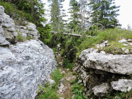 Monte Fiara - Dentro al labirinto