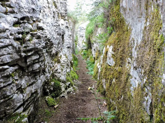 Monte Fiara - Dentro al labirinto