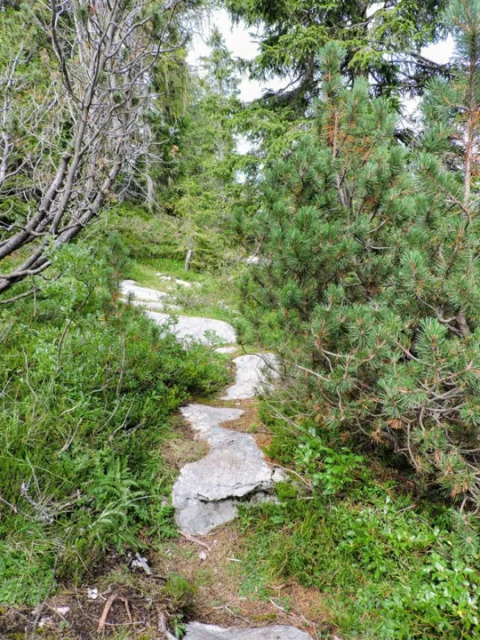 Monte Fiara - Sulla cima