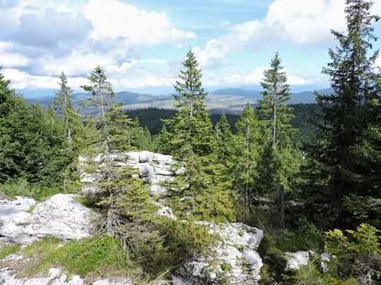 Monte Fiara - Sulla cima