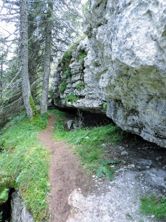 Monte Fiara - Continuazione del sentiero