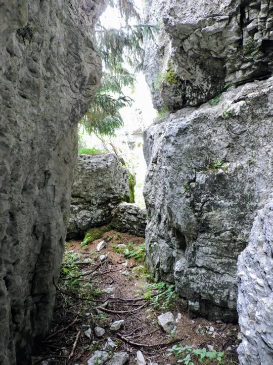 Monte Fiara - Dentro al labirinto