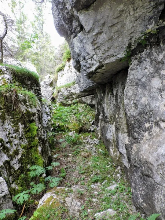 Monte Fiara - Dentro al labirinto