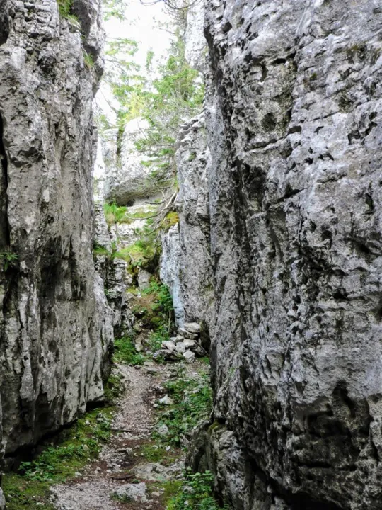 Monte Fiara - Dentro al labirinto