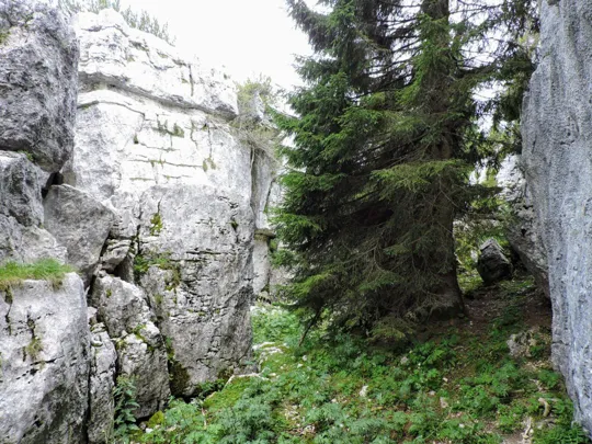 Monte Fiara - Un stanza più ampia