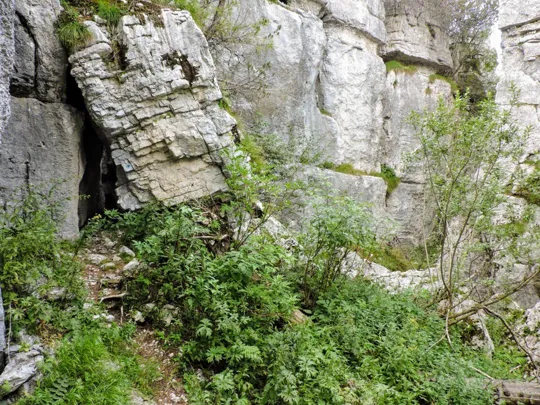 Monte Fiara - Particolare del percorso
