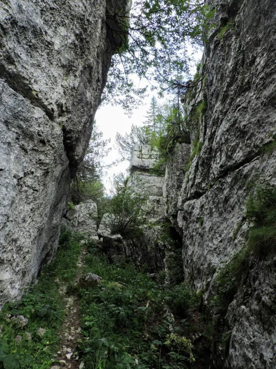 Monte Fiara - Particolare del percorso