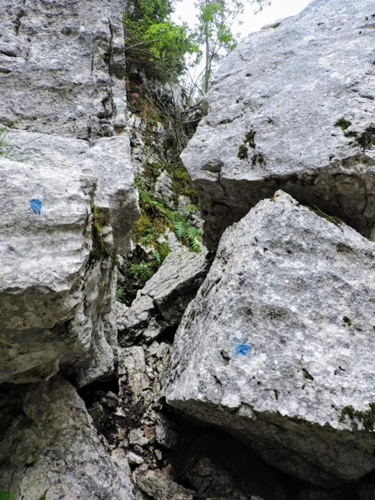 Monte Fiara - Particolare del percorso